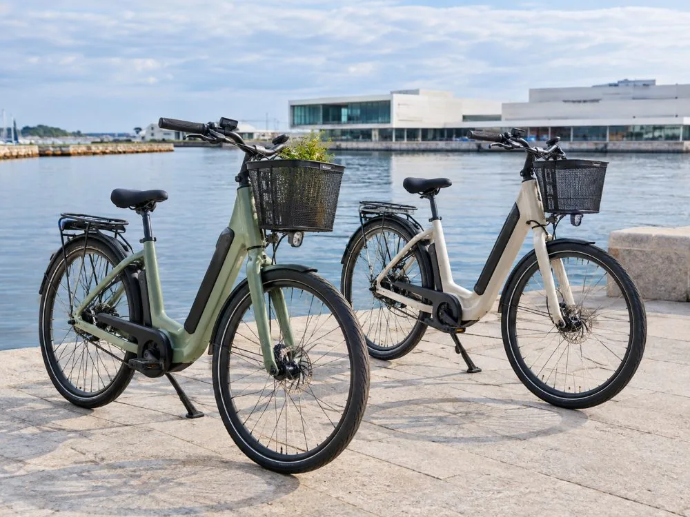 Geführte E-Bike-Tour durch Kopenhagen